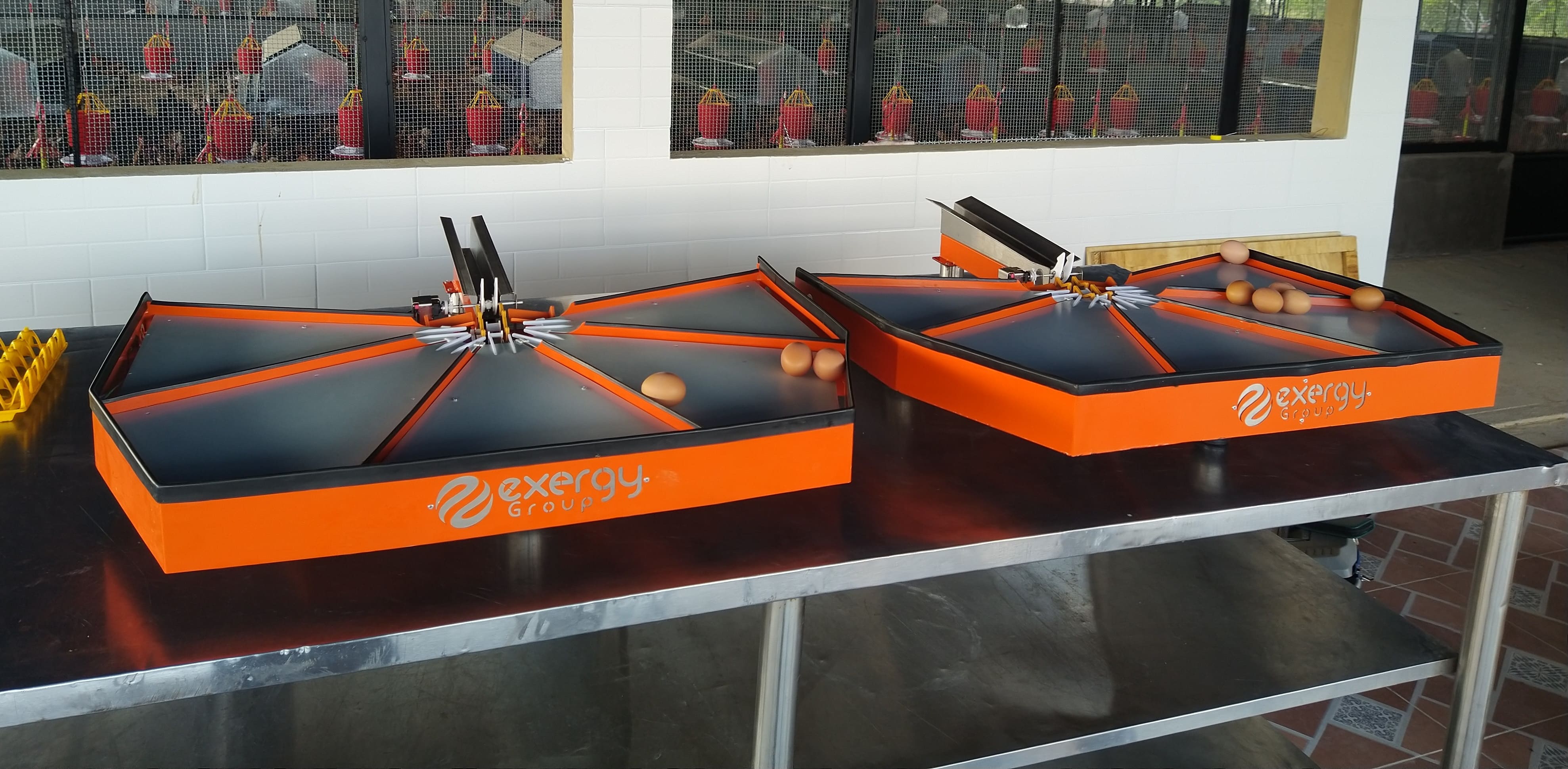 Clasificadora Exergy Group